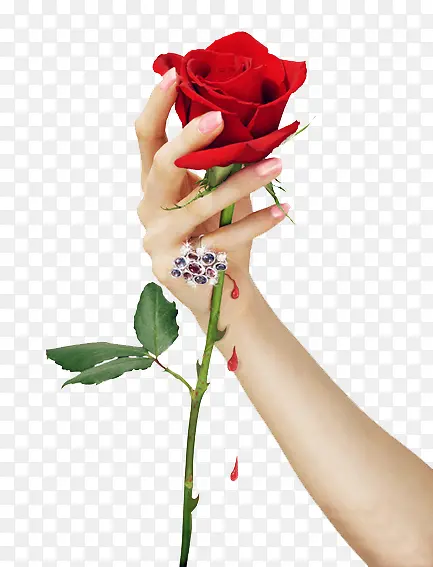 ����õ��-������