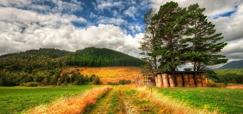 ������Ӱ����-������