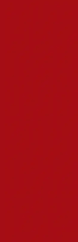 ��ɫ����-������