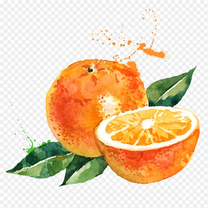 ˮ�ʳ���-������