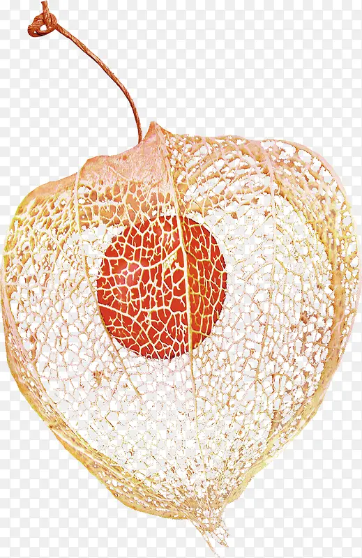 װ�ι��������ز�-������