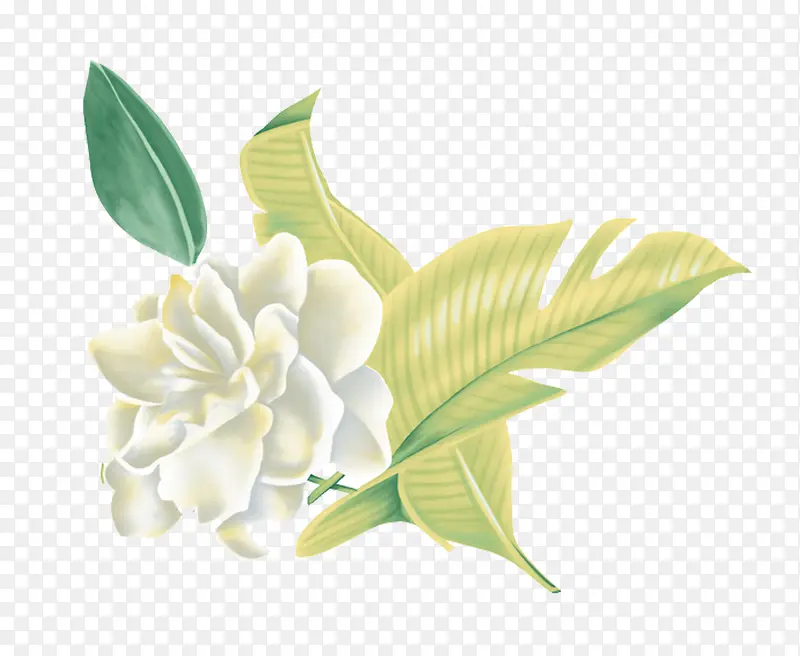 ������-������