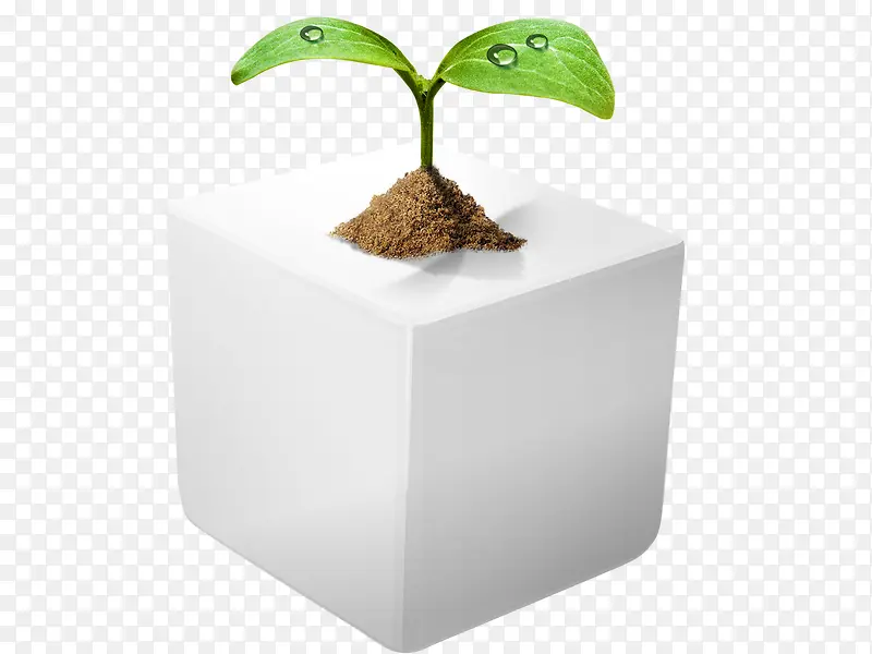 ����С�ݺͺ���-������