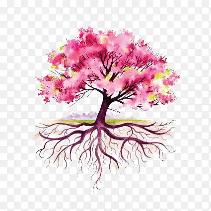 ��ɫС��-������