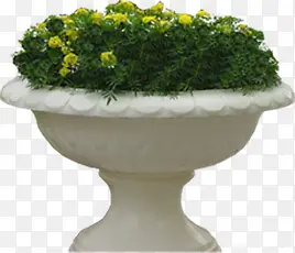 ������Ӱ��԰�Ļ�̳԰��Ч��-������