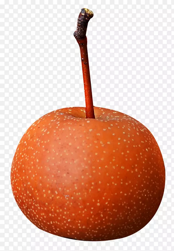 ��������������-���޴������ʵ-������