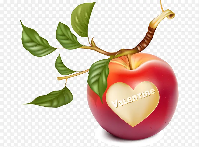 ��ͨƻ��-������