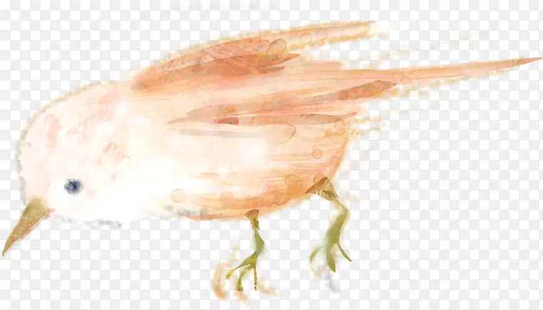 �ֻ�ɰ���ʳС��-������