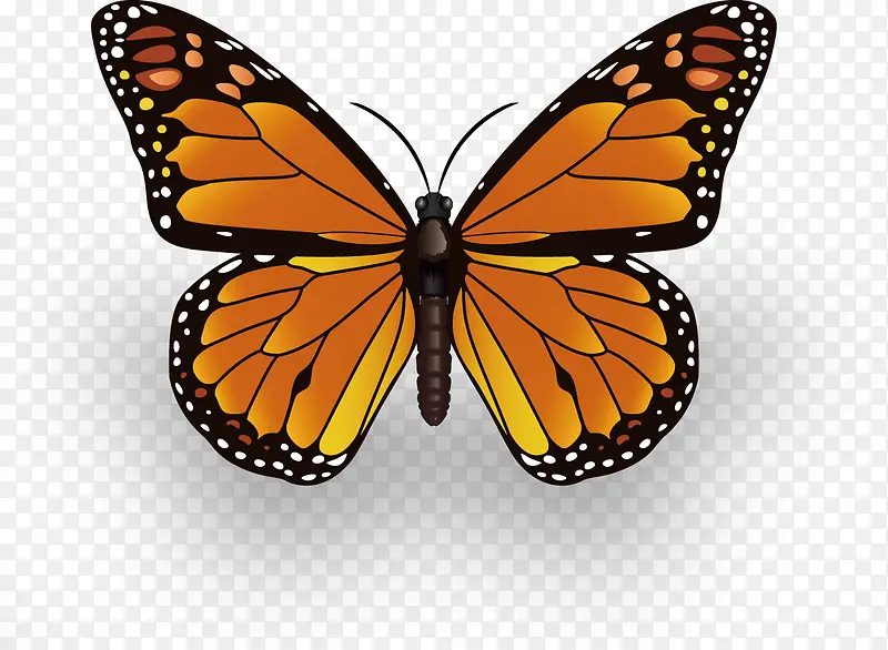 Ư���ĺ���-������