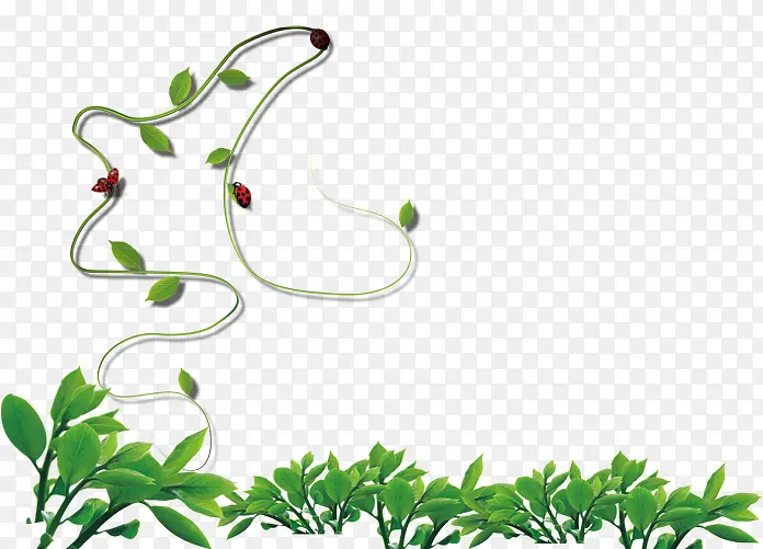 ����С��-������