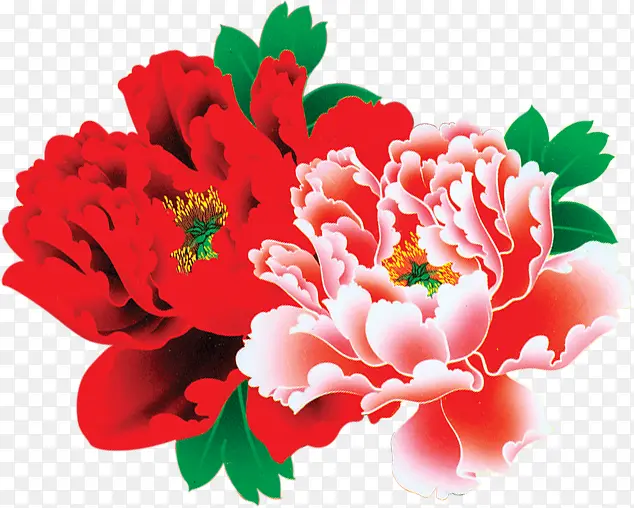 ��ɫ���ĵ������-������