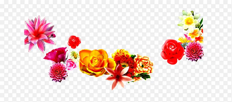 ��ɫ����-������