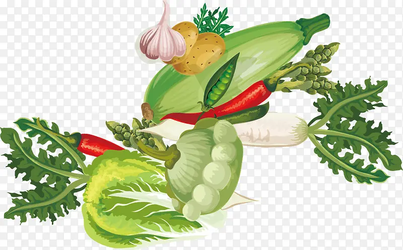 ����ά�������յ�ʳ��-������