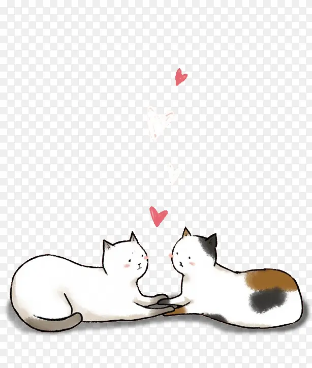 ����è��-������