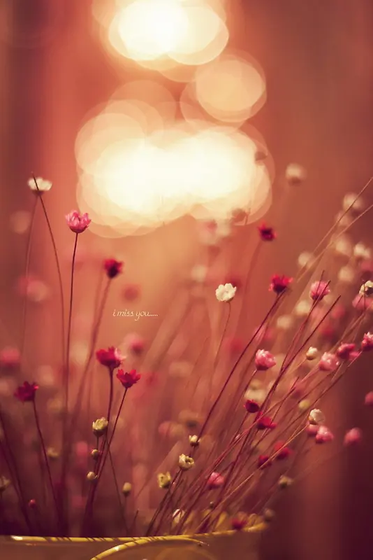 ������Ӱ���С��-������