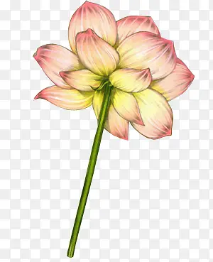 �ֻ�ɻ�-������