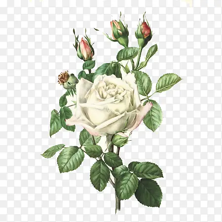 ��ɫ�¼����廭-������