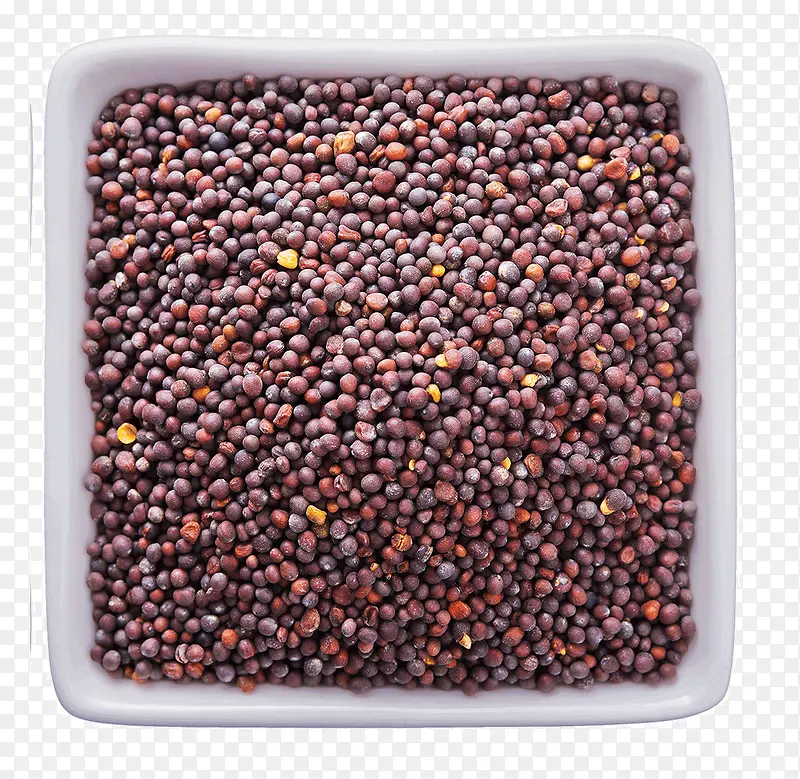 �Ͳ���-������