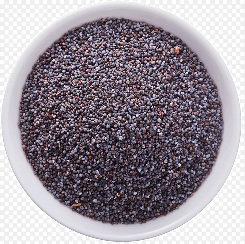 �Ͳ���-������