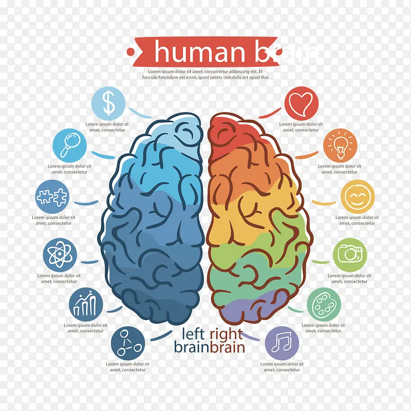 ʸ����ɫ����װ��ͼ��-������