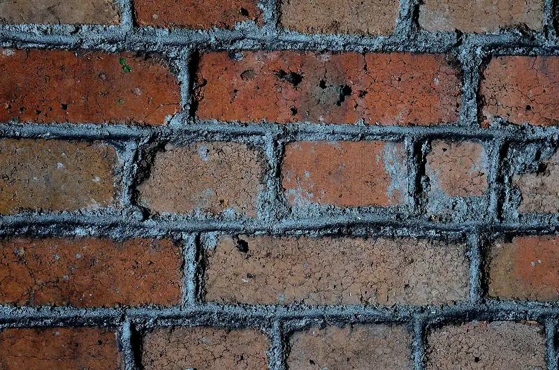 שǽ����-������