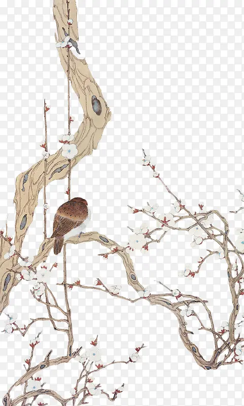 ������-������