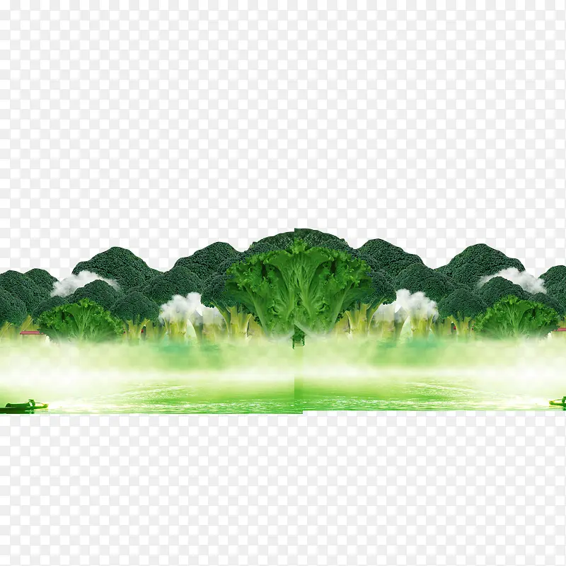 ��ɫ�߲���������-������