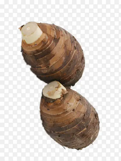 ��ͷ-������