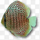 �����-������