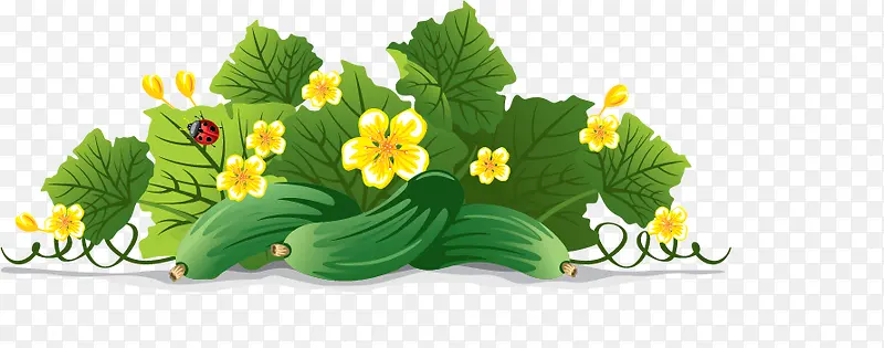 ��ɫ�߲�-������