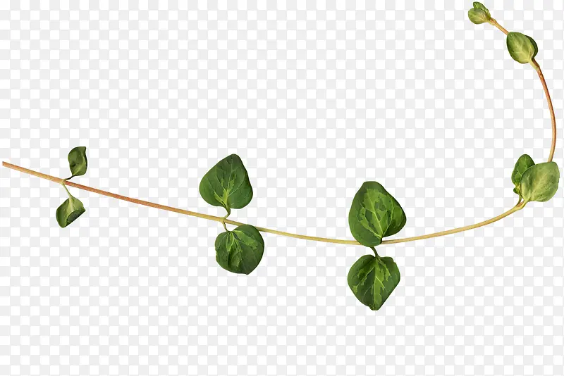 дʵͯ���ز�-������