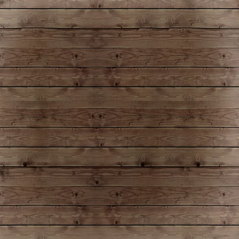 �ذ�ľ��-������