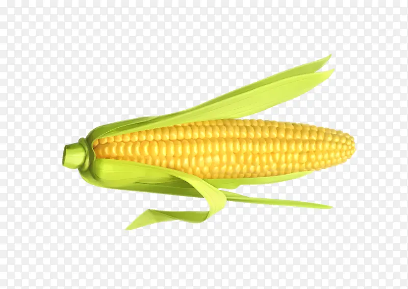 �����߲˳�����ʳ-������