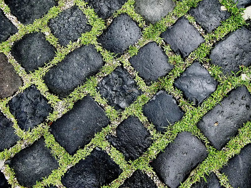 ��ש��ݵر���-������