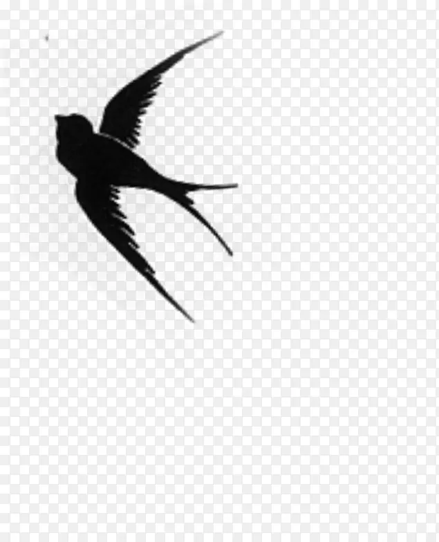 ��ɫˮ����ƴ���-������