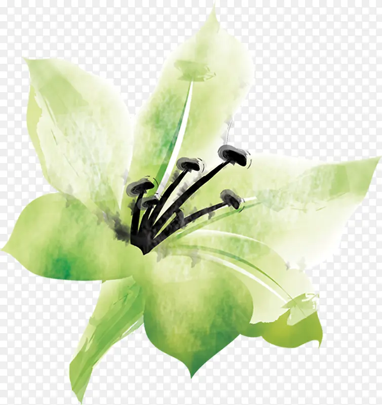 ˮ�ɻ�ˮ�ʻ��޿�-������