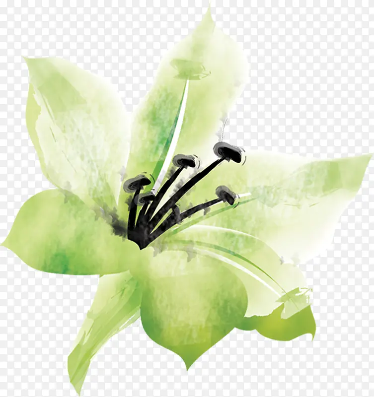 ˮ�ʻ�ˮ�ɻ��ز�-������