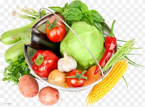 �߲�ʳ��-������