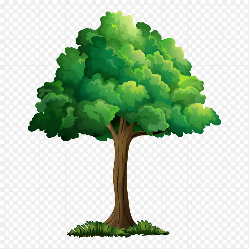 �� ��ľ-������