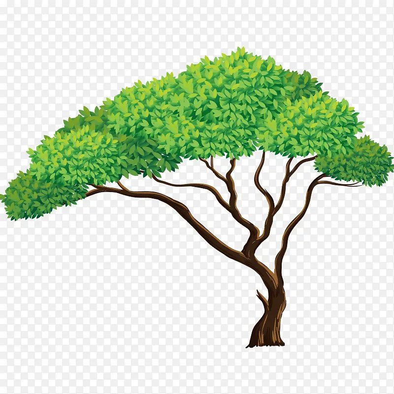 �� ��ľ-������