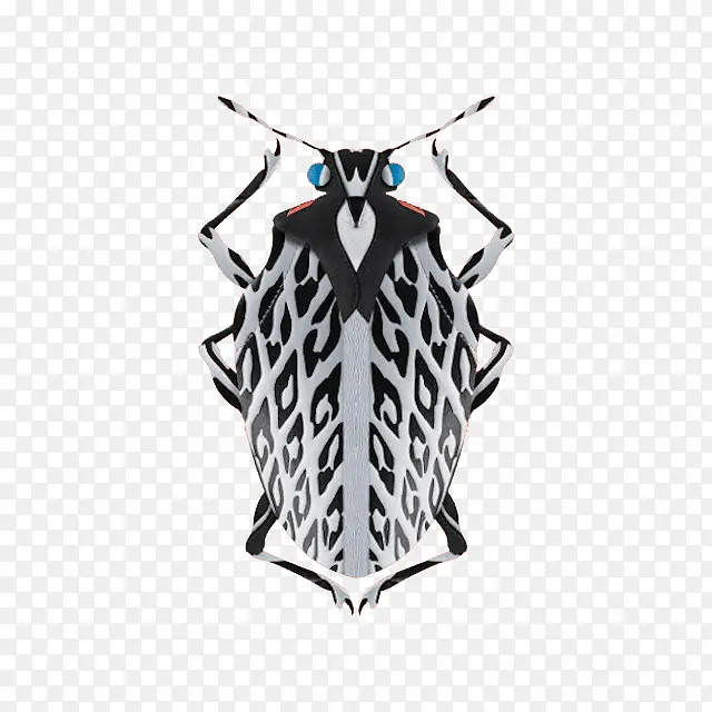 �����˶������Ӿ�-������