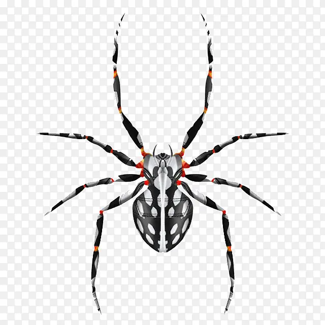 �����˶�����-������