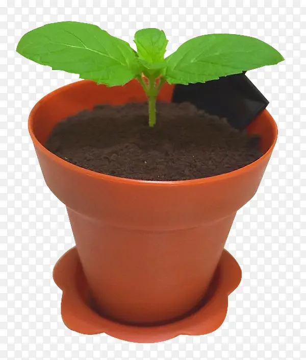 �ļ���Ʒ-������