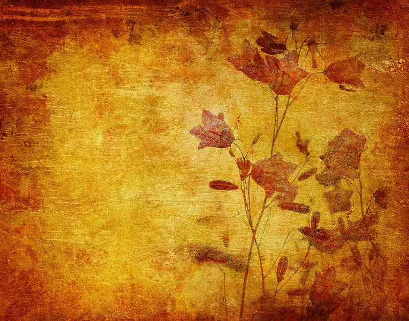 �����ͻ�����-������