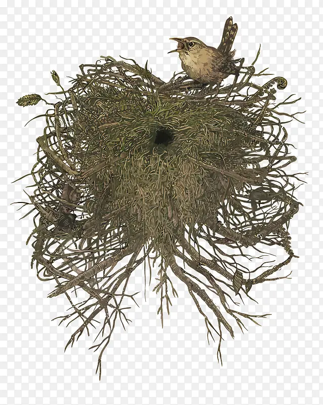 ʸ����������-������