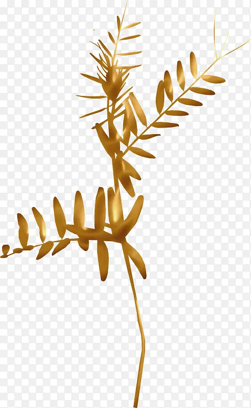 ��ɫ֦Ҷ-������