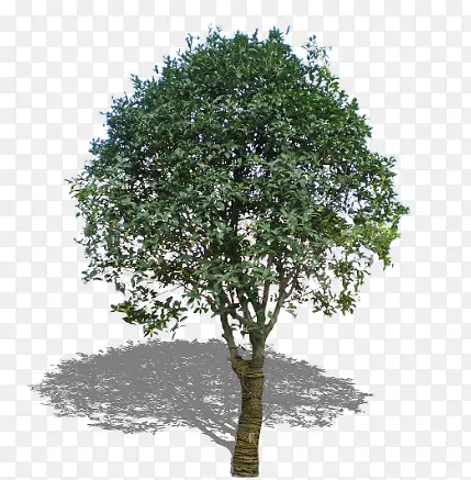 �����ز�-������