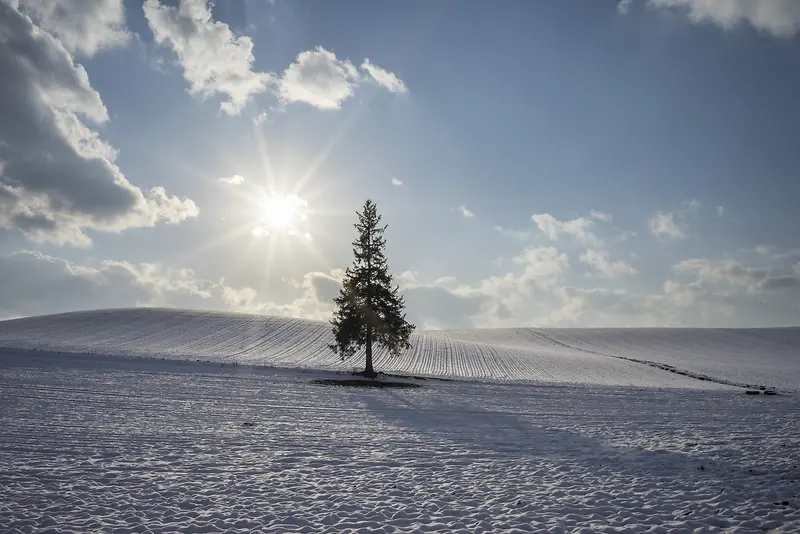 �����¹¶���С��-������