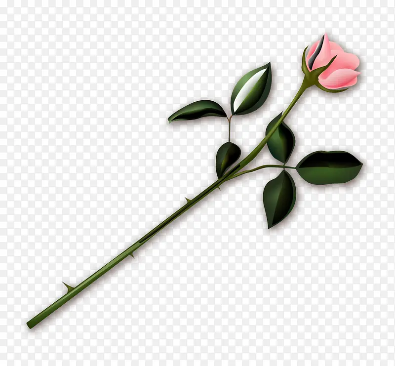 �ֻ�õ��-������