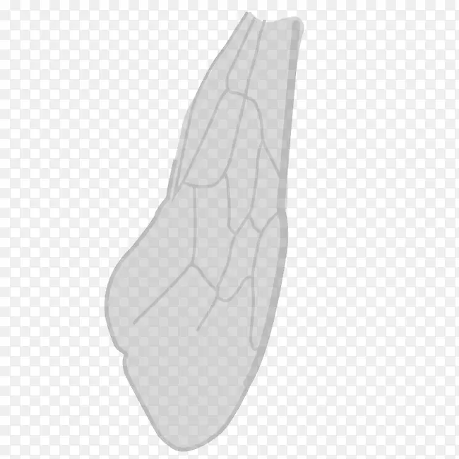 ���-������